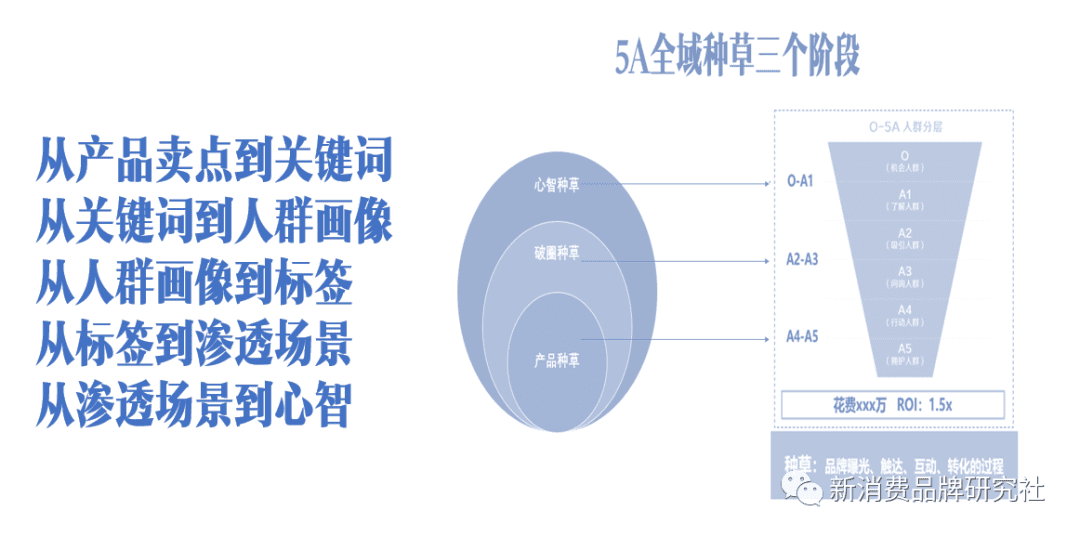 品牌種草三階段：產(chǎn)品種草、破圈種草、心智種草