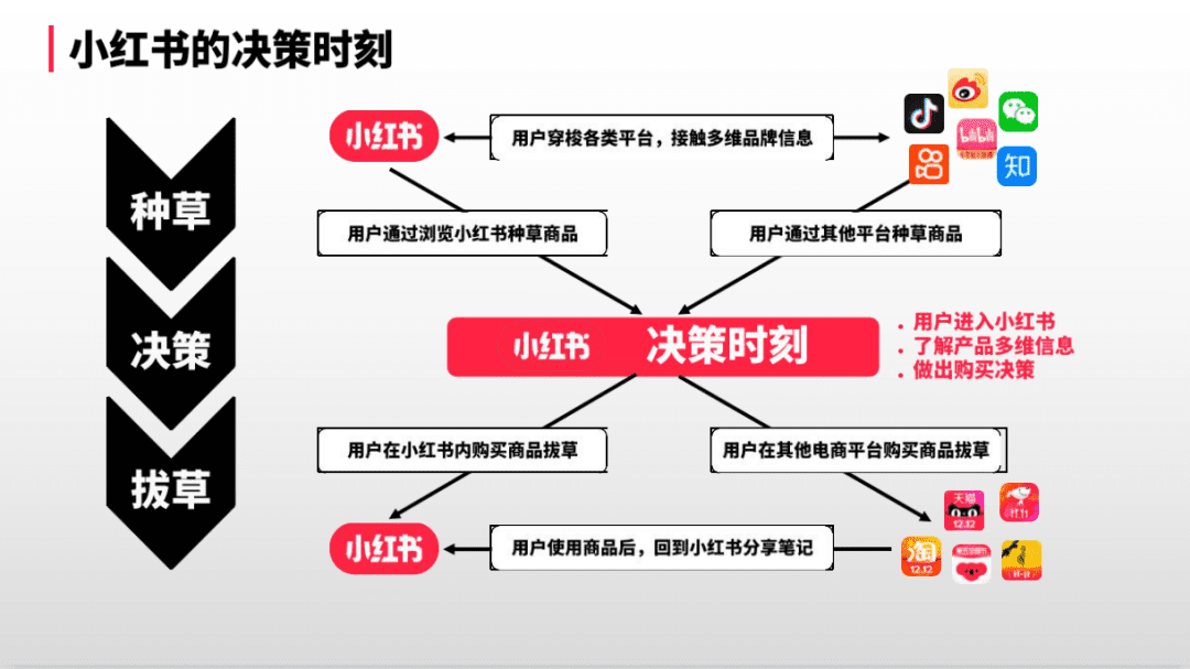 小紅書專業(yè)號·種草營銷新陣地