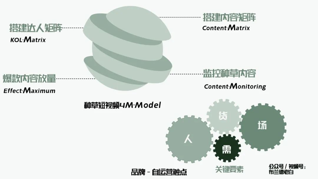 萬字梳理品牌抖音電商增長攻略｜布蘭德老白