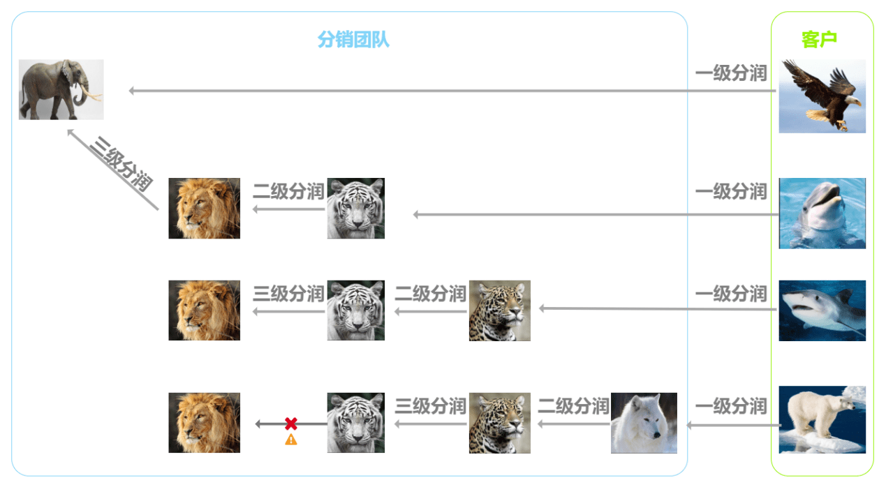 什么是分銷的底層邏輯