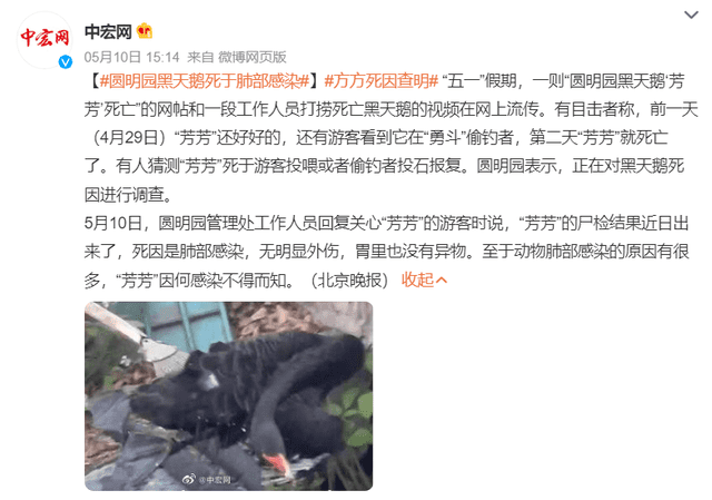 非正常死亡飆升直指原罪，千億動(dòng)物園產(chǎn)業(yè)何日投身自我救贖？