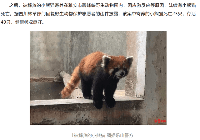 非正常死亡飆升直指原罪，千億動(dòng)物園產(chǎn)業(yè)何日投身自我救贖？